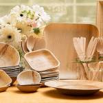 What Are Biodegradable Areca Palm Leaf Plates?