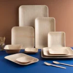 Benefits of using areca leaf plates over plastic