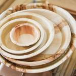 How to Choose the Right Areca Plate Supplier in India