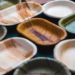 Why Areca Palm Plates Are Best for Eco-Friendly Dining?